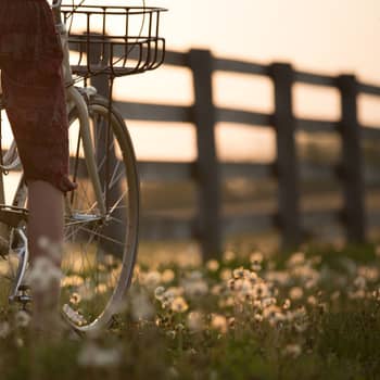 Hotel Mayer Splendid Desenzano Bike 05