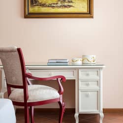 Hotel Mayer Splendid Desenzano Social 06